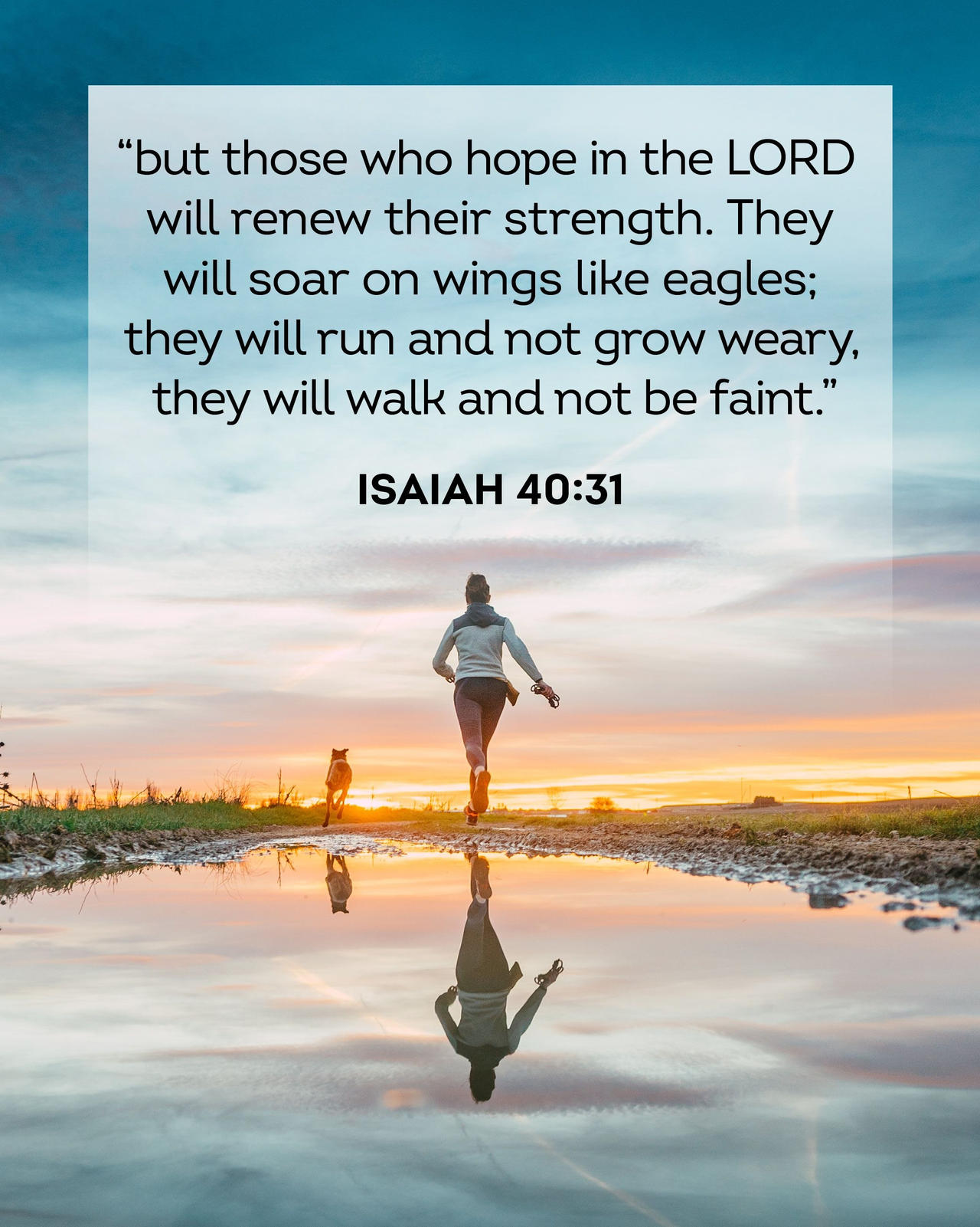 Isaiah 40 Verse 30 To 31 Isaiah 40 Verse 30 To 31