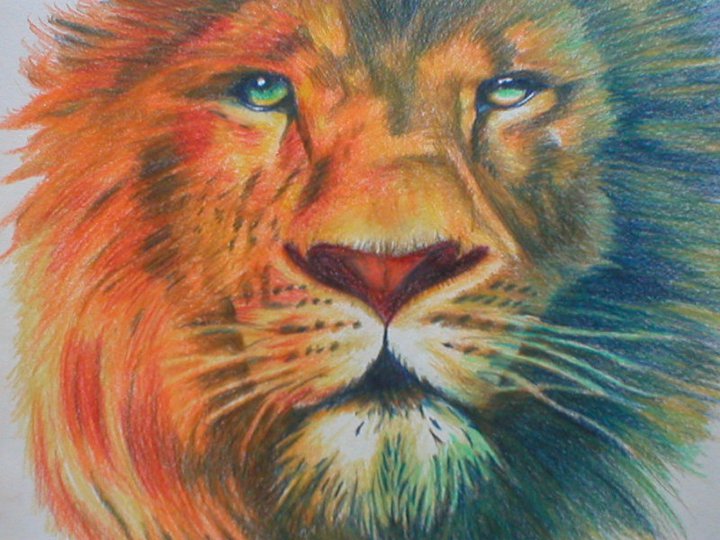 Aslan Drawing by a7xfan22 on DeviantArt