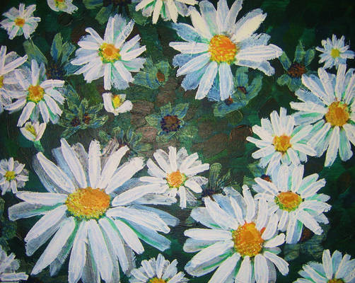 Layers of Daisies