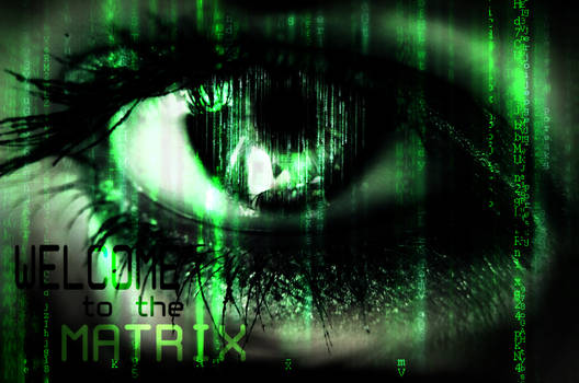 Welcome To The Matrix