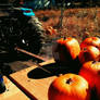 Tractors and Pumpkins