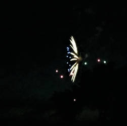 Oakland Lake Fireworks (23)