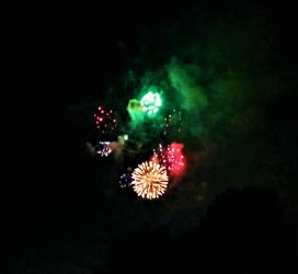 Oakland Lake Fireworks (22)