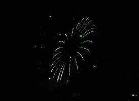Oakland Lake Fireworks (19)