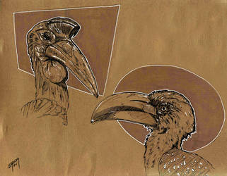 Hornbills