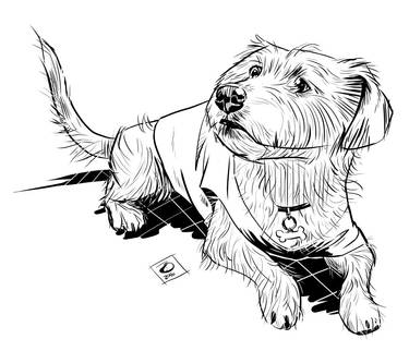 odandiee dog hamming digital inks LG