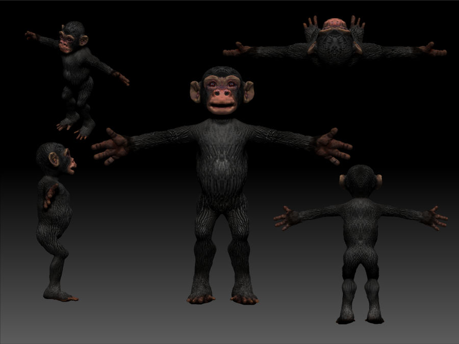 Deviantart 2007 Monkey Monkey by zaphos on DeviantArt