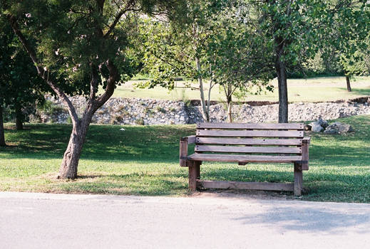 That one bench