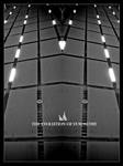 Evolution of Symmetry II by arrivesatten