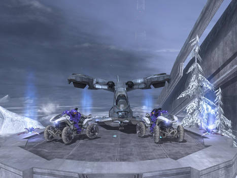 halo fun