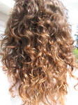 curly hair1 by nikita-stock