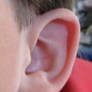 ear