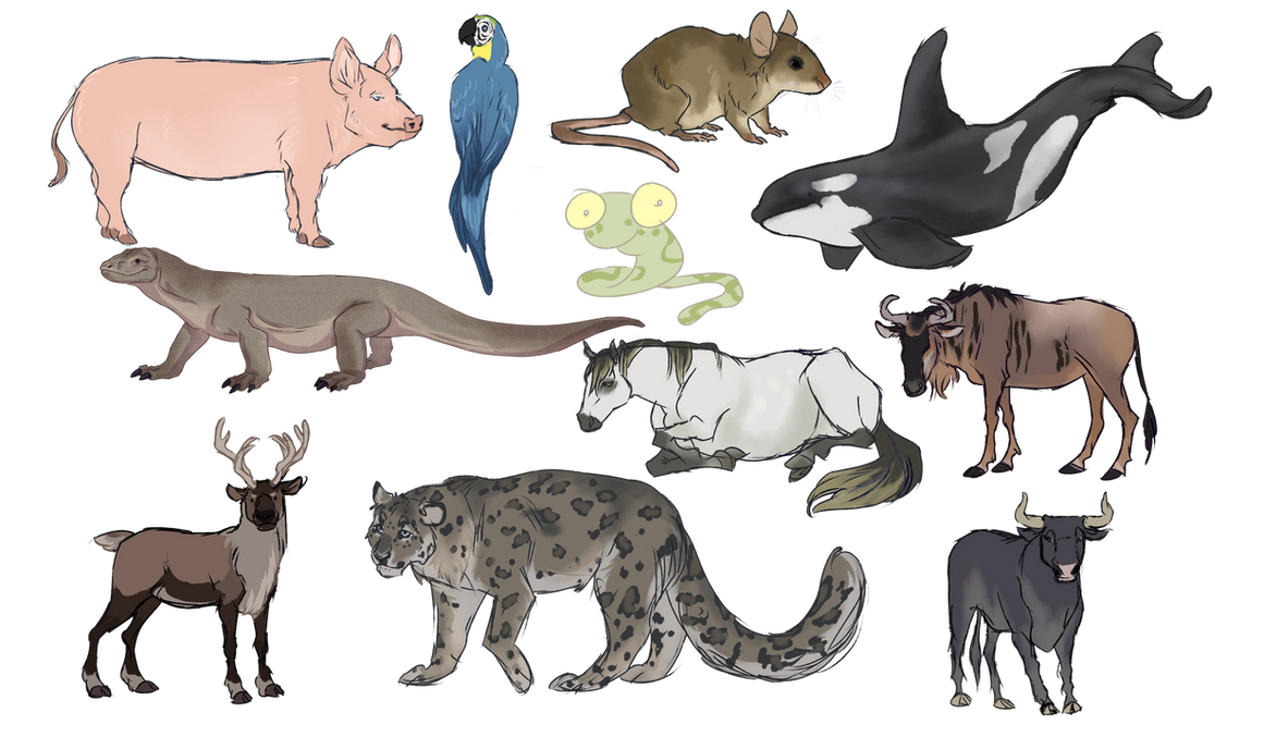 All Animals Deviantart Animals by CelkaToad on DeviantArt