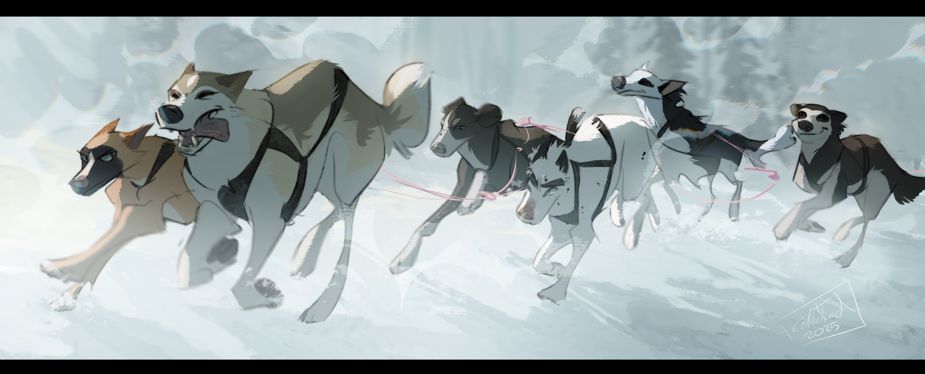 Speedy gals and boys