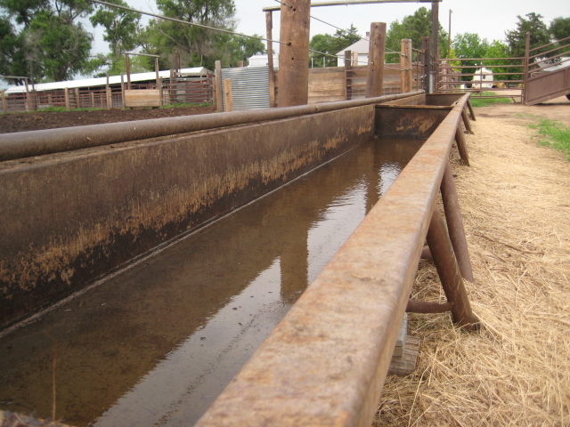 silent troughs