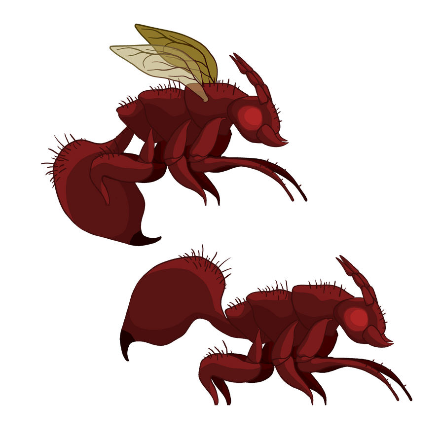 Ant Deviantart Ant 3 by BlairDrake on DeviantArt