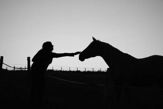 B + W silhouette