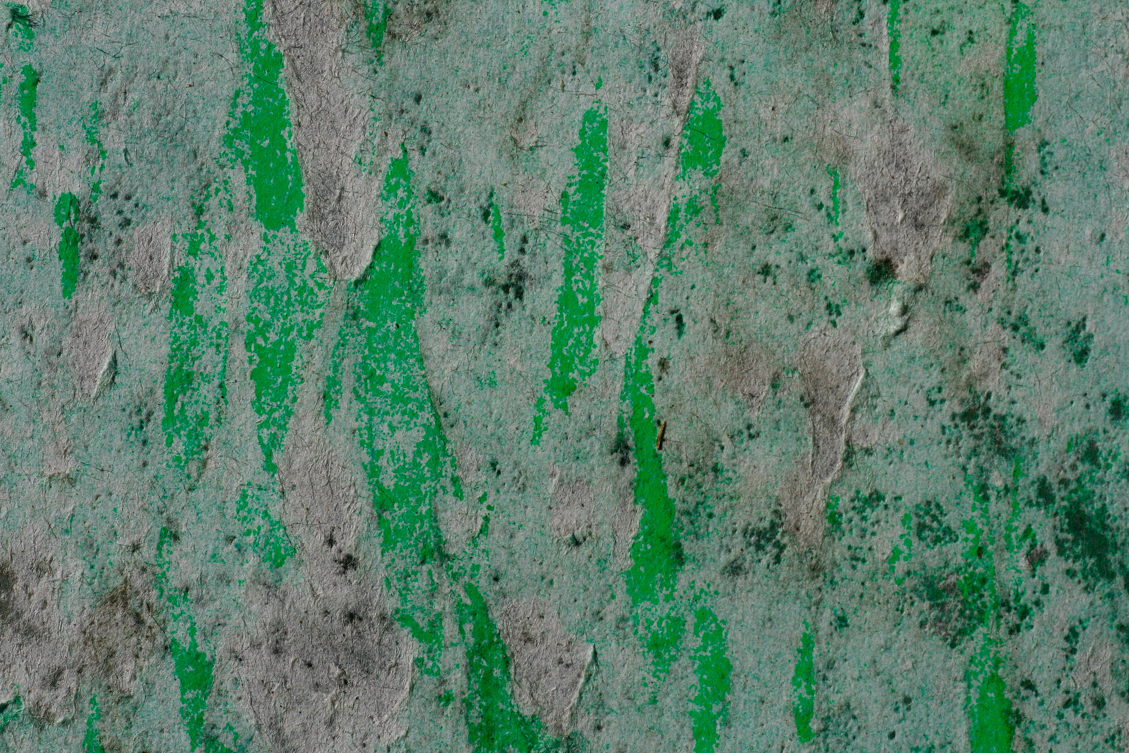 Texture 81