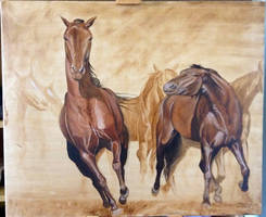 horses