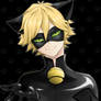 Cat Noir