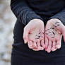 hands remember