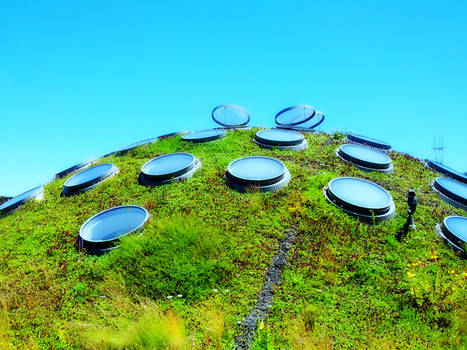 Cal Academy of Sciences - Living Roof