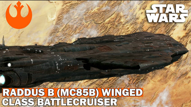 The Raddus B (MC85B) Winged-class COMPLETE Breakdo