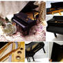 Grand Piano Elegance ~ Collage