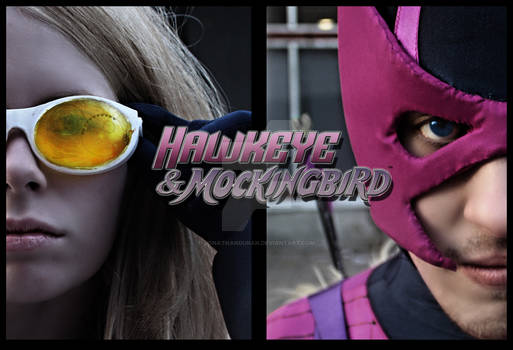 Hawkeye And Mockingbird