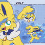 SSED- Volt