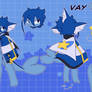 SSED- Vay Ref