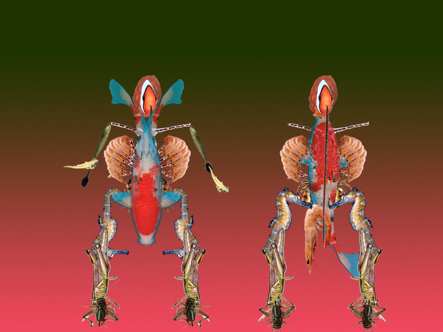 Frog Technologies by S2501V on DeviantArt