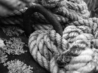 ropes IV