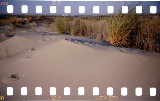 HOLGA 22