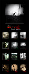 HOLGA 2009 Calendar by buhoazul