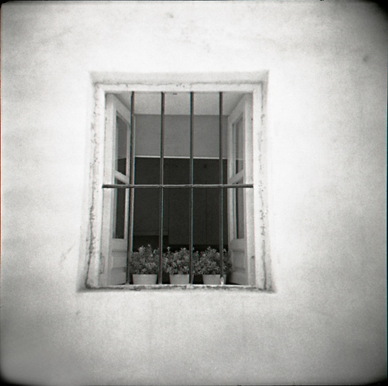 HOLGA 93