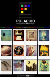 Polaroid 2010 Calendar by buhoazul