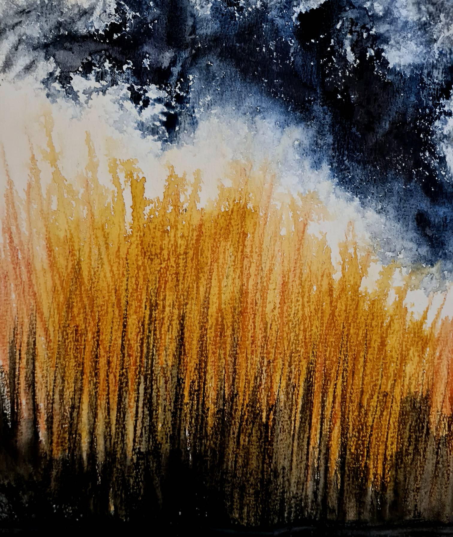 Reeds by langeboom on DeviantArt