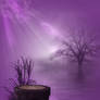 Purple Moments 02