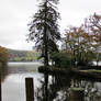 Autumnal Dock