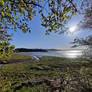 View over the Estuary 