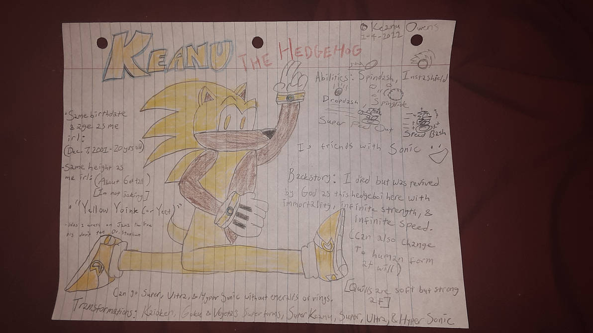Keanu The Hedgehog Ref Sheet On Paper By Superkeanu On Deviantart