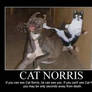 cat norris