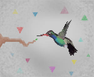 Hummingbird complete copy