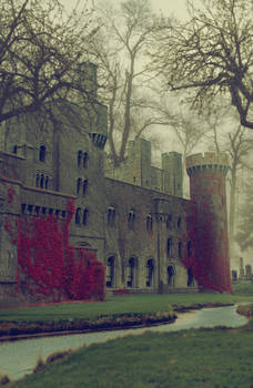 The Castle in the Deep Forest