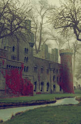 The Castle in the Deep Forest
