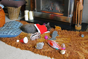 Oops - overdid it a bit methinks..... by County1006 Oops - overdid it a bit methinks..... by County1006