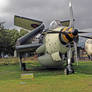 Gannet and Nimrod