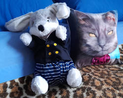 A new friend for Lady J