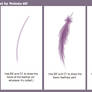 Feather Tutorial